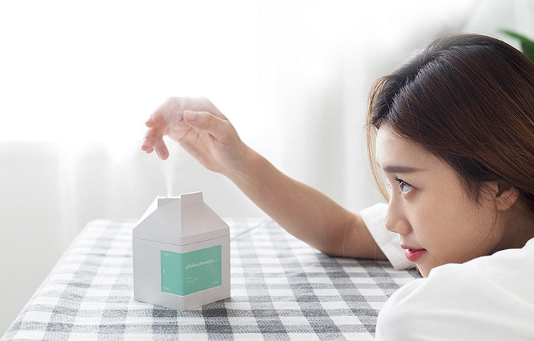 Milk carton humidifier